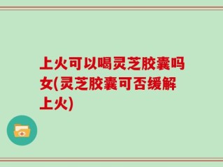 上火可以喝灵芝胶囊吗女(灵芝胶囊可否缓解上火)
