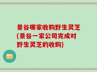 景谷哪家收购野生灵芝(景谷一家公司完成对野生灵芝的收购)
