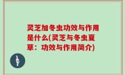 灵芝加冬虫功效与作用是什么(灵芝与冬虫夏草：功效与作用简介)