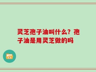灵芝孢子油叫什么？孢子油是用灵芝做的吗