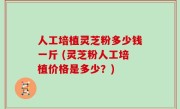 人工培植灵芝粉多少钱一斤 (灵芝粉人工培植价格是多少？)