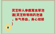 灵芝粉人参鹿茸虫草泡酒(灵芝粉等四药泡酒，补气养血，身心双修)