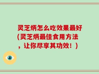 灵芝炳怎么吃效果最好(灵芝炳最佳食用方法，让你尽享其功效！)