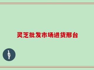 灵芝批发市场进货邢台