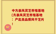 中方县风灵芝养殖基地(方县风灵芝养殖基地：产出高品质风干芝片！