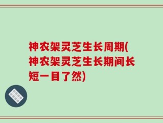神农架灵芝生长周期(神农架灵芝生长期间长短一目了然)