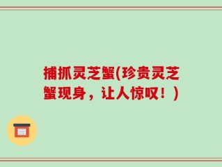 捕抓灵芝蟹(珍贵灵芝蟹现身，让人惊叹！)