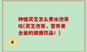 种植灵芝怎么煮水泡茶吃(灵芝泡茶，营养更全面的健康饮品！)