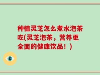 种植灵芝怎么煮水泡茶吃(灵芝泡茶，营养更全面的健康饮品！)