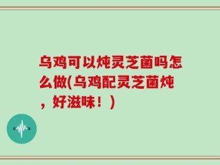 乌鸡可以炖灵芝菌吗怎么做(乌鸡配灵芝菌炖，好滋味！)