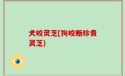 犬咬灵芝(狗咬断珍贵灵芝)