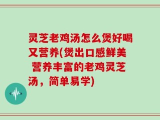 灵芝老鸡汤怎么煲好喝又营养(煲出口感鲜美 营养丰富的老鸡灵芝汤，简单易学)