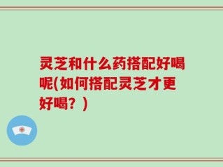 灵芝和什么药搭配好喝呢(如何搭配灵芝才更好喝？)