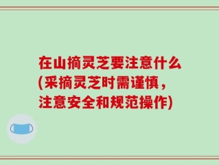 在山摘灵芝要注意什么(采摘灵芝时需谨慎，注意安全和规范操作)