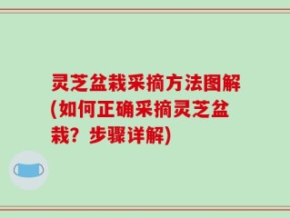 灵芝盆栽采摘方法图解(如何正确采摘灵芝盆栽？步骤详解)