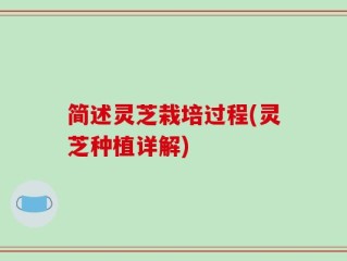 简述灵芝栽培过程(灵芝种植详解)