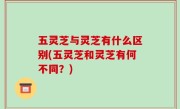 五灵芝与灵芝有什么区别(五灵芝和灵芝有何不同？)