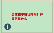 灵芝孢子粉壮阳吗？栌灵芝是什么