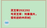 灵芝草292(292号灵芝草：效果强大，受欢迎的中药材)