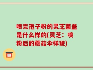 喷完孢子粉的灵芝菌盖是什么样的(灵芝：喷粉后的蘑菇伞样貌)