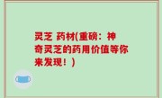 灵芝 药材(重磅：神奇灵芝的药用价值等你来发现！)