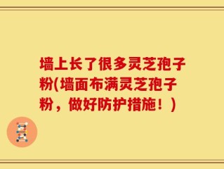 墙上长了很多灵芝孢子粉(墙面布满灵芝孢子粉，做好防护措施！)