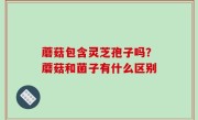 蘑菇包含灵芝孢子吗？蘑菇和菌子有什么区别