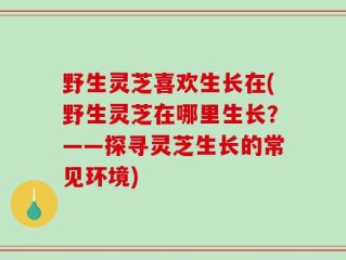 野生灵芝喜欢生长在(野生灵芝在哪里生长？——探寻灵芝生长的常见环境)