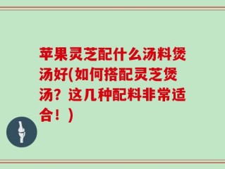 苹果灵芝配什么汤料煲汤好(如何搭配灵芝煲汤？这几种配料非常适合！)