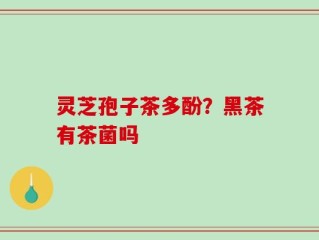 灵芝孢子茶多酚？黑茶有茶菌吗