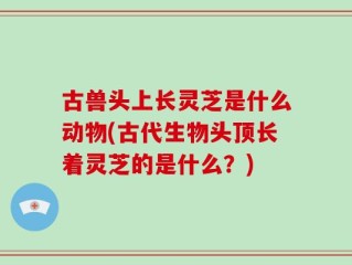 古兽头上长灵芝是什么动物(古代生物头顶长着灵芝的是什么？)