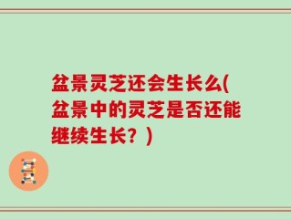 盆景灵芝还会生长么(盆景中的灵芝是否还能继续生长？)