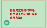 野生灵芝如何打碎吃(野生灵芝的正确打碎与食用方法)