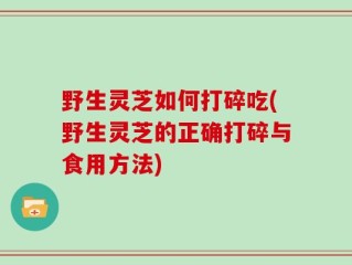 野生灵芝如何打碎吃(野生灵芝的正确打碎与食用方法)