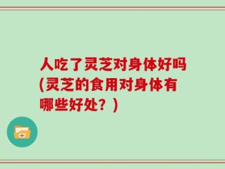 人吃了灵芝对身体好吗(灵芝的食用对身体有哪些好处？)