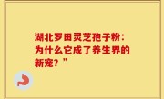 湖北罗田灵芝孢子粉：为什么它成了养生界的新宠？”