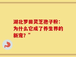 湖北罗田灵芝孢子粉：为什么它成了养生界的新宠？”