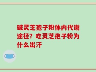 破灵芝孢子粉体内代谢途径？吃灵芝孢子粉为什么出汗