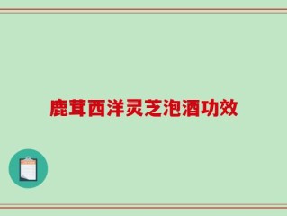 鹿茸西洋灵芝泡酒功效