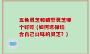 五色灵芝和破壁灵芝哪个好吃 (如何选择适合自己口味的灵芝？)