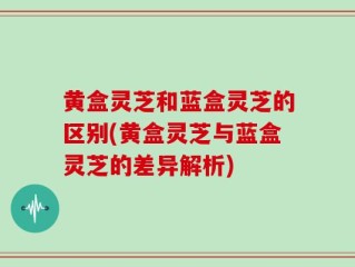 黄盒灵芝和蓝盒灵芝的区别(黄盒灵芝与蓝盒灵芝的差异解析)