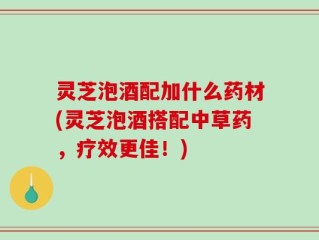 灵芝泡酒配加什么药材(灵芝泡酒搭配中草药，疗效更佳！)