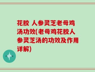 花胶 人参灵芝老母鸡汤功效(老母鸡花胶人参灵芝汤的功效及作用详解)