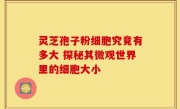 灵芝孢子粉细胞究竟有多大 探秘其微观世界里的细胞大小