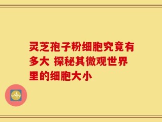 灵芝孢子粉细胞究竟有多大 探秘其微观世界里的细胞大小