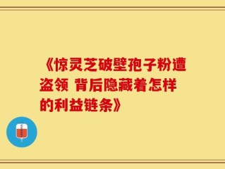 《惊灵芝破壁孢子粉遭盗领 背后隐藏着怎样的利益链条》