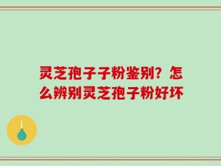 灵芝孢子子粉鉴别？怎么辨别灵芝孢子粉好坏