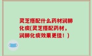 灵芝搭配什么药材润肺化痰(灵芝搭配药材，润肺化痰效果更佳！)