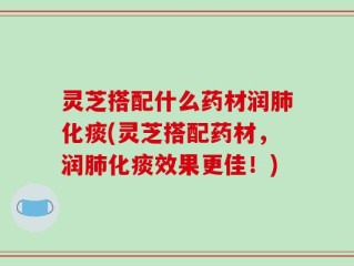 灵芝搭配什么药材润肺化痰(灵芝搭配药材，润肺化痰效果更佳！)