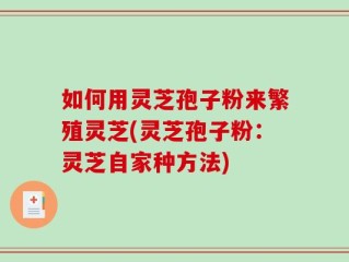 如何用灵芝孢子粉来繁殖灵芝(灵芝孢子粉：灵芝自家种方法)
